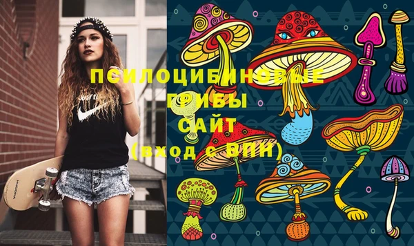 спайс Новодвинск