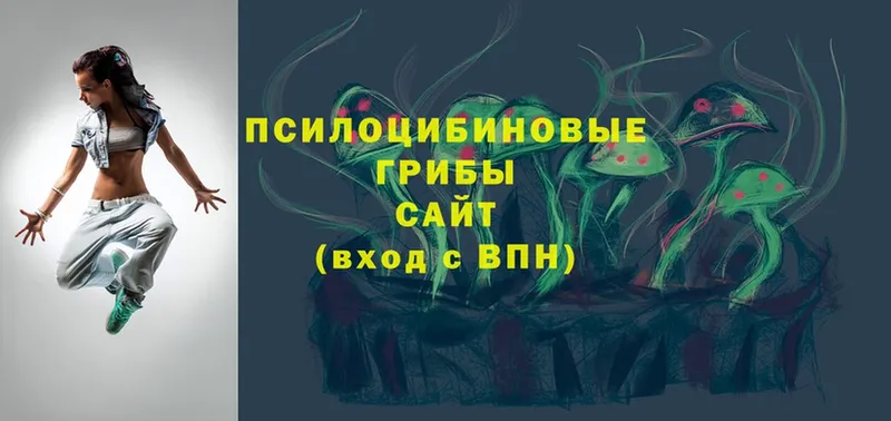 Галлюциногенные грибы Cubensis Астрахань