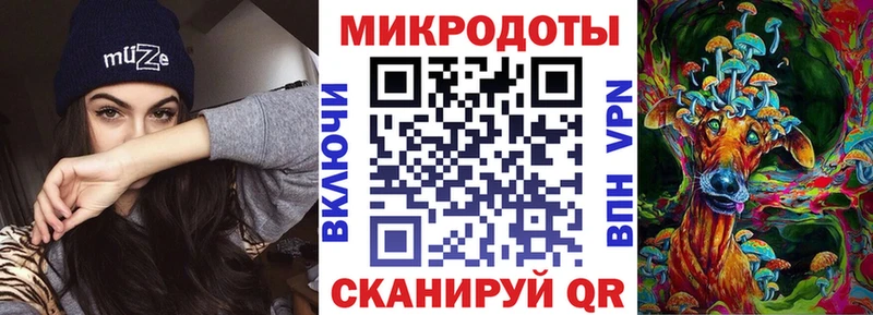 Галлюциногенные грибы Psilocybine cubensis  Астрахань 
