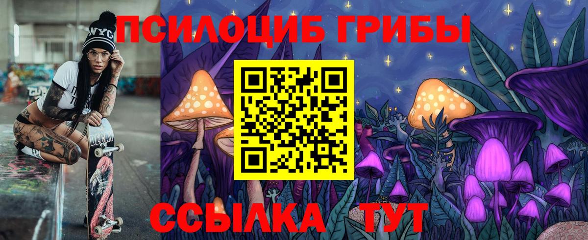 Галлюциногенные грибы MAGIC MUSHROOMS  Псилоцибиновые грибы Cubensis  Астрахань  Вход с VPN 
