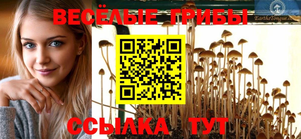 Псилоцибиновые грибы мицелий Астрахань