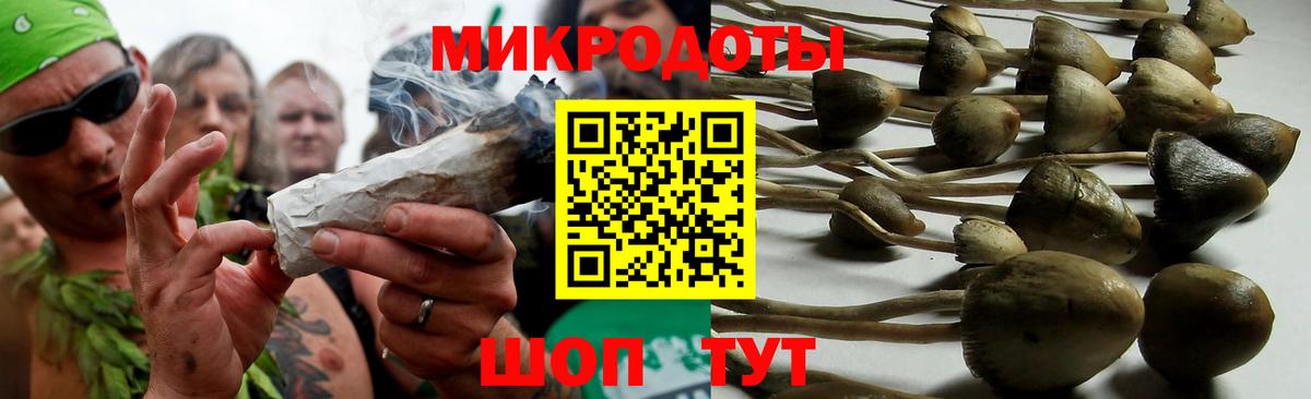 Галлюциногенные грибы Psilocybe Астрахань